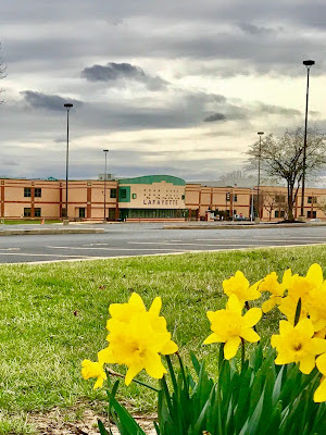 Photo Credit: Jin Zou