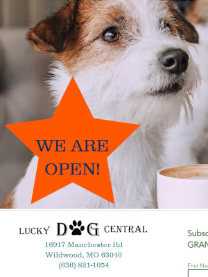 Photo Credit: luckydogcentral.com